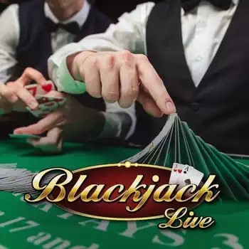 Live Blackjack logo by Pragmatic Live at Wolf CasinoLive Blackjack